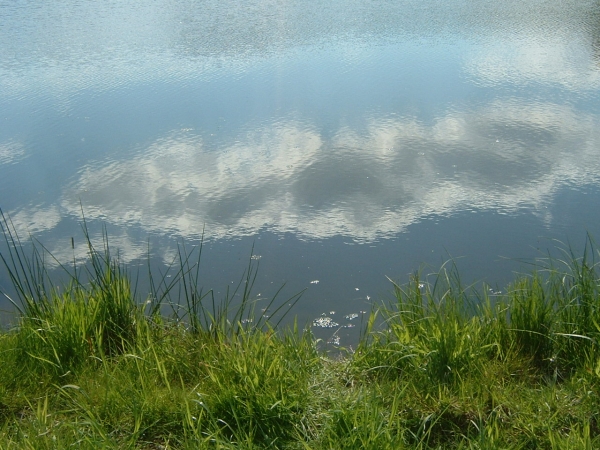 Frhjahr 2005