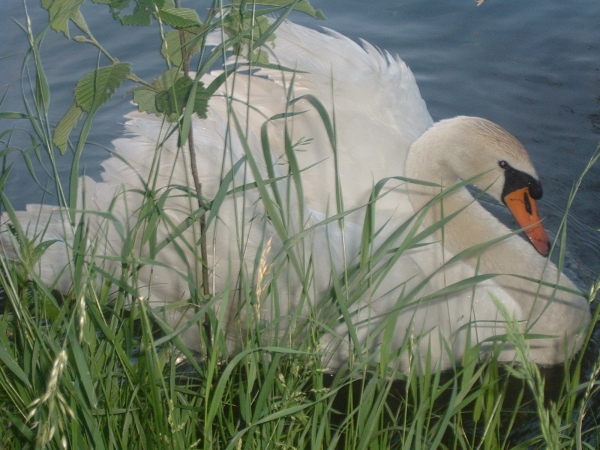 Sommer 2005