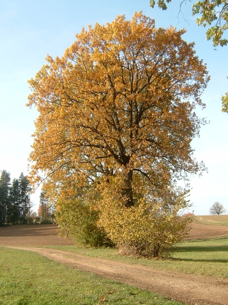 Herbst 2005