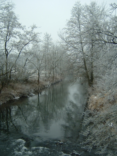 Winter 2005/2006